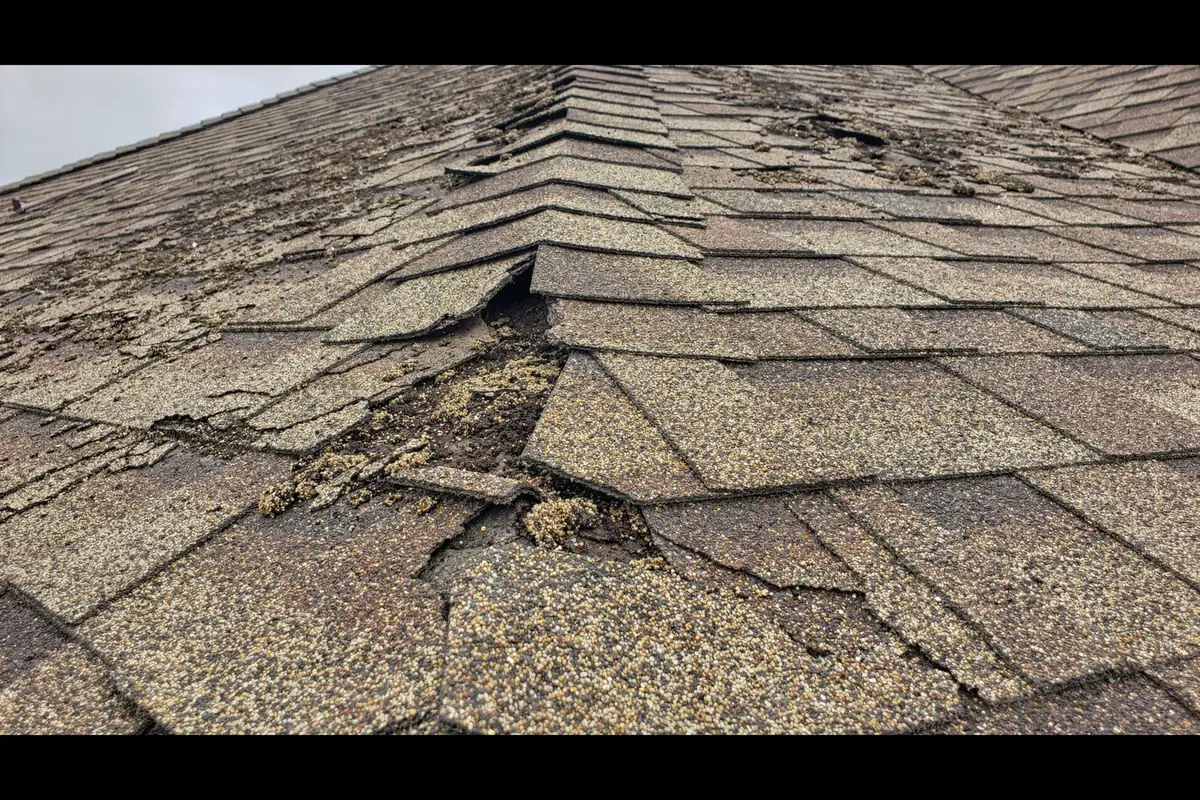 A weathered shingle slope with streaks where the mineral granules have washed away leaving darker asphalt beneath.